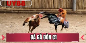 Đá Gà Đòn C1