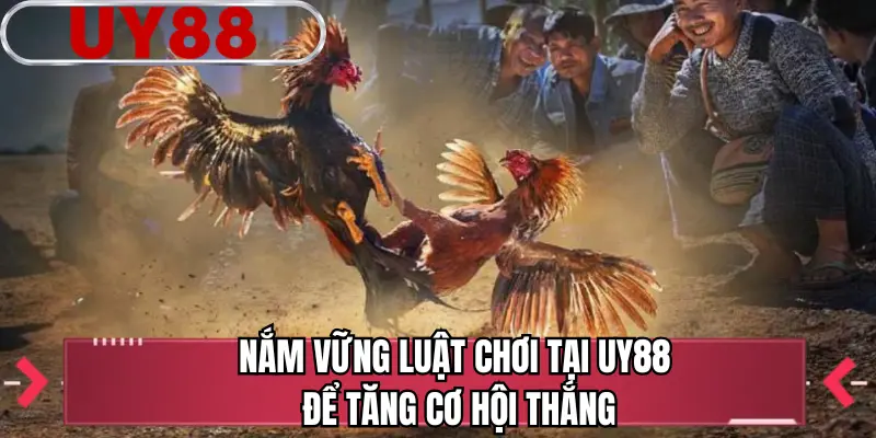 Nắm vững luật chơi tại UY88 để tăng cơ hội thắng