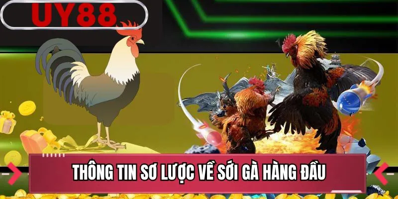 Thông tin sơ lược về sới gà hàng đầu
